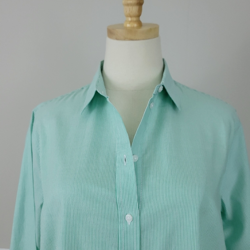 Everlane Bright Jade/White Silky Cotton Relaxed Button Down Shirt Top - Picture 6 of 7